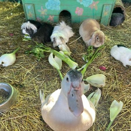Sejour A La Ferme Villa Jouques Dış mekan fotoğraf