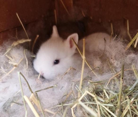 Sejour A La Ferme Villa Jouques Dış mekan fotoğraf