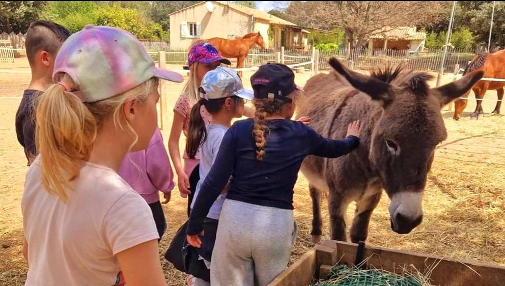 Sejour A La Ferme Villa Jouques Dış mekan fotoğraf
