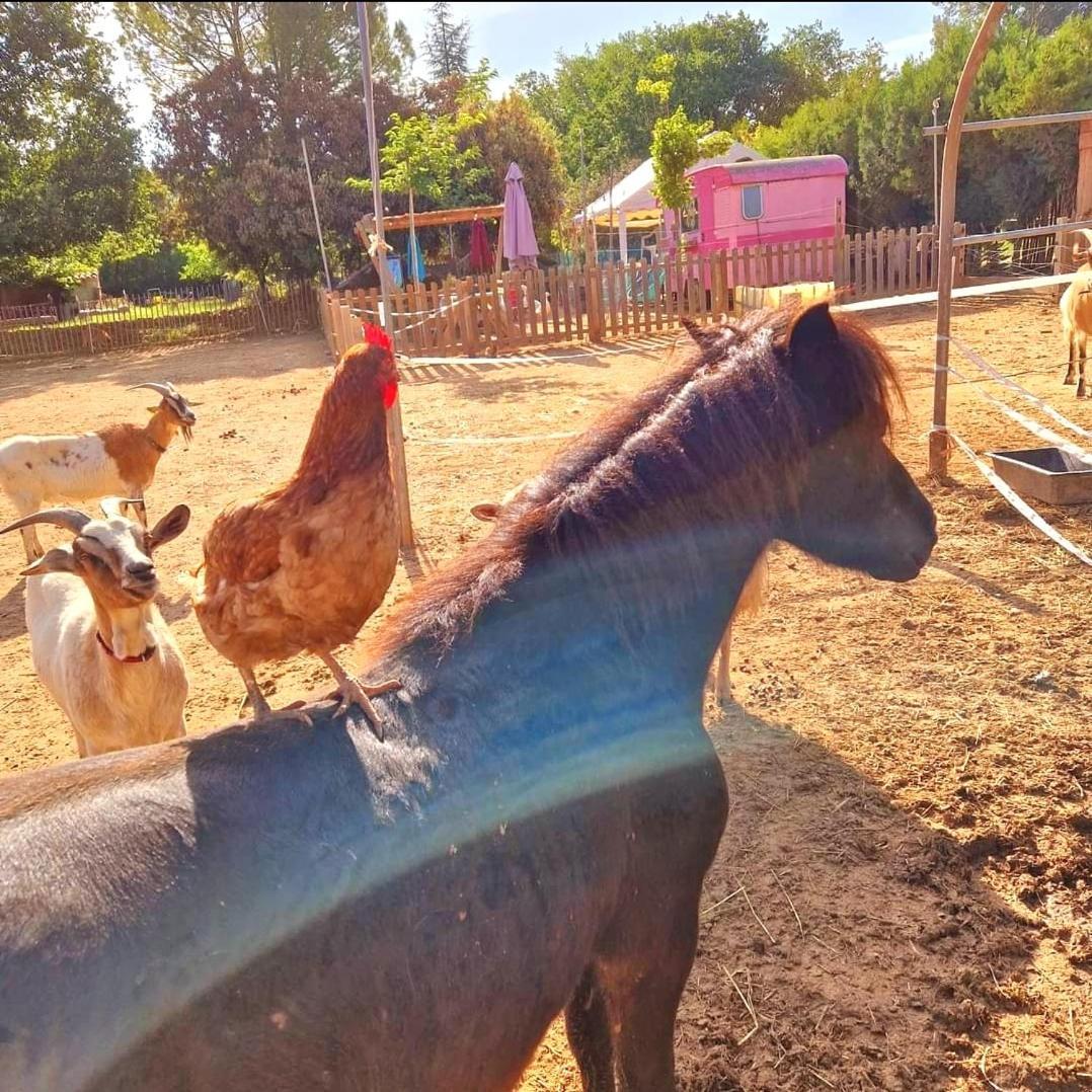 Sejour A La Ferme Villa Jouques Dış mekan fotoğraf